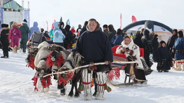 Фото: Андрей Ткачёв / «Ямал-Медиа»