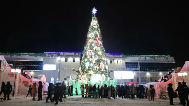 Фото: Андрей Ткачёв / «Ямал-Медиа»