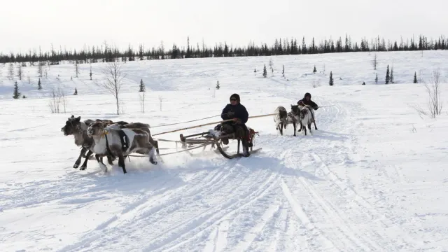 Сидяӈг: Марина Ярʼ тадтавы