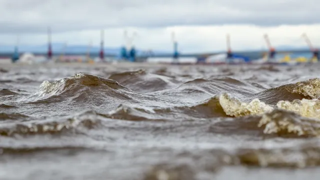 Фото: Федор Воронов / «Ямал-Медиа»