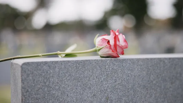 Фото: PeopleImages.com - Yuri A / Shutterstock / Fotodom