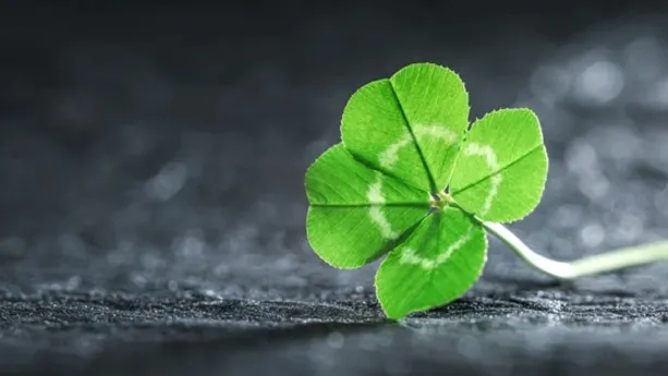 Фото: Leigh Prather / shutterstock.com / Fotodom