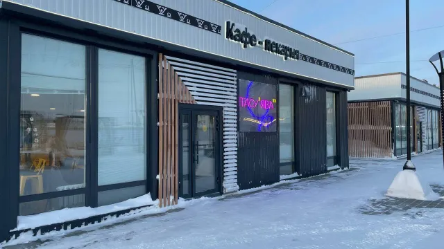 Фото: Анастасия Ульянова / «Ямал-Медиа»