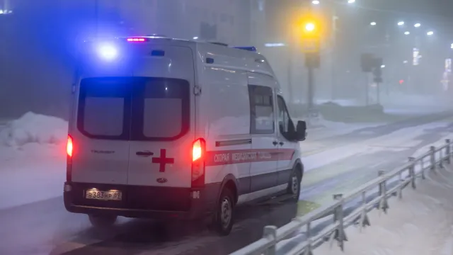 Фото: Фёдор Воронов / «Ямал-Медиа»