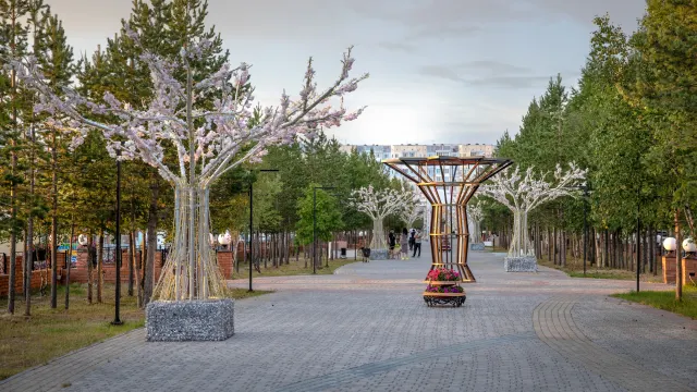 Фото: Фёдор Воронов / «Ямал-Медиа»