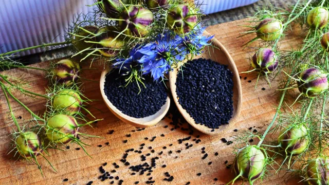 Фото: Nigella sativa/Shutterstock/ФОТОДОМ