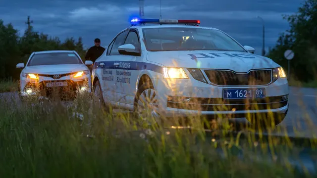 Фото: Фёдор Воронов/«Ямал-Медиа»