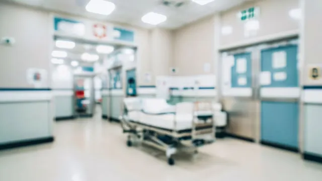 Фото: Irya kt / Shutterstock / Fotodom