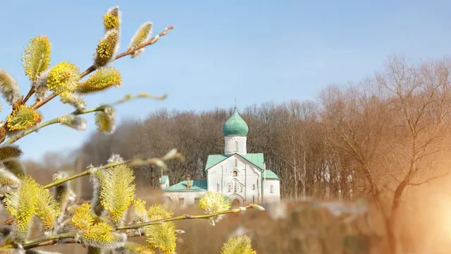 В Лазареву субботу освящают вербу. Фото: Автор: ju_see / Shutterstock / Fotodom