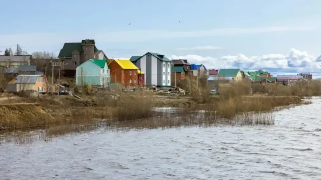Фото: Фёдор Воронов / «Ямал-Медиа»