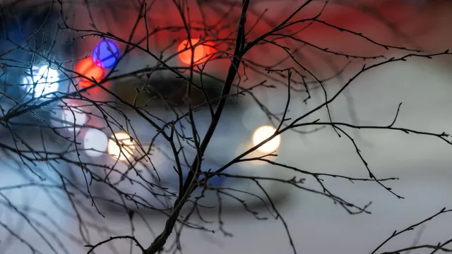 Фото: Фёдор Воронов/«Ямал-Медиа»