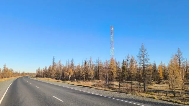 Фото: Наталья Сурикова / предоставлено пресс-службой ПАО «МТС»
