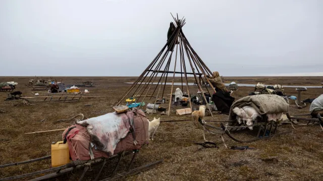 Новые решения улучшат жизнь кочевников. Фото: Фёдор Воронов /«Ямал-Медиа»