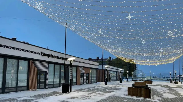 Фото: Анастасия Ульянова / "Ямал-Медиа"