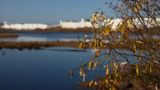Фото: Сергей Решетов / «Ямал-Медиа»