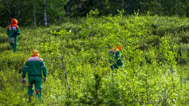 Фото: Фёдор Воронов / «Ямал-Медиа»
