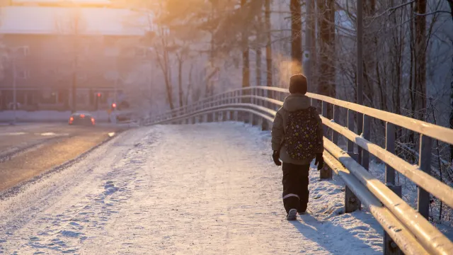 Фото: Bauwimauwi/Shutterstock/Fotodom