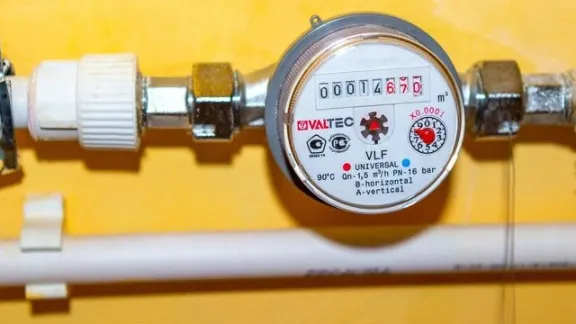 Фото: Evgenii Panov / Shutterstock / Fotodom