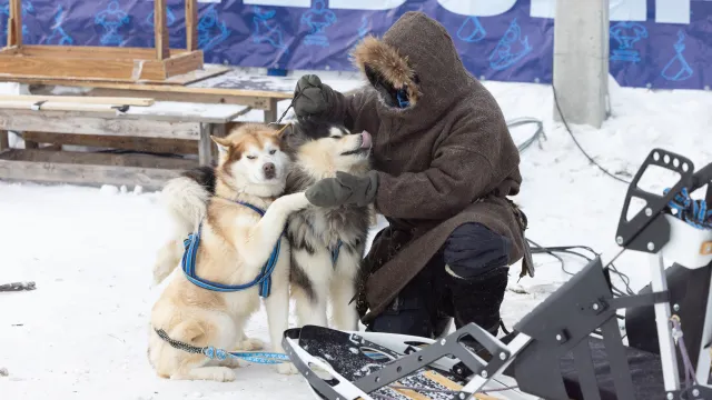 Фото: Андрей Ткачёв / «Ямал-Медиа»