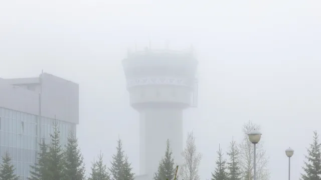 Фото: Василий Петров / «Ямал-Медиа»