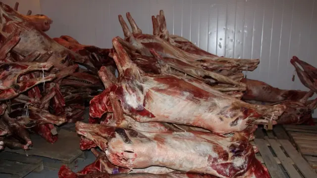 Фото: Елена Миленина / «Ямал-Медиа»