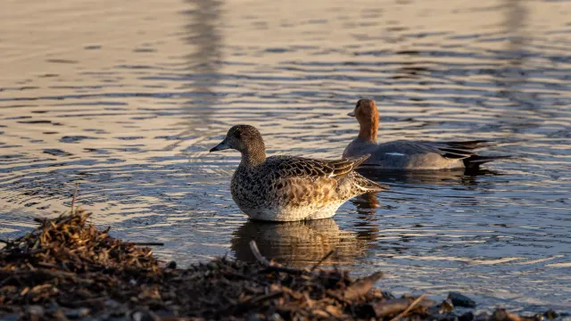 Фото: Фёдор Воронов / «Ямал-Медиа»