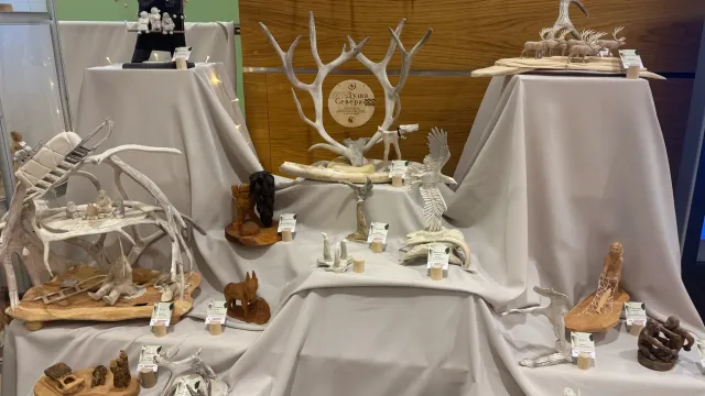 Фото: Андрей Пяк / Няръяна Нгэрм