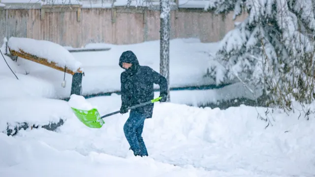 Фото: Сергей Зубков/«Ямал-Медиа»