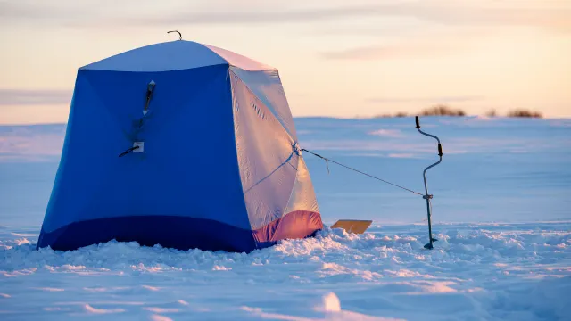 Фото: Фёдор Воронов / «Ямал-Медиа»