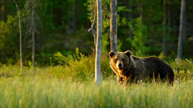 Фото: Ondrej Prosicky / Shutterstock.com