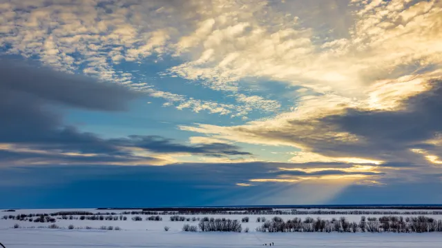 Фото: Фёдор Воронов / «Ямал-Медиа»