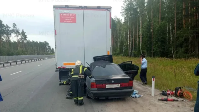 Фото: пресс-служба ГУ МЧС по Владимирской области