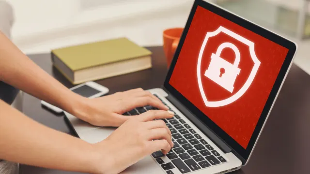 Фото: Prostock-studio/Shutterstock/Fotodom