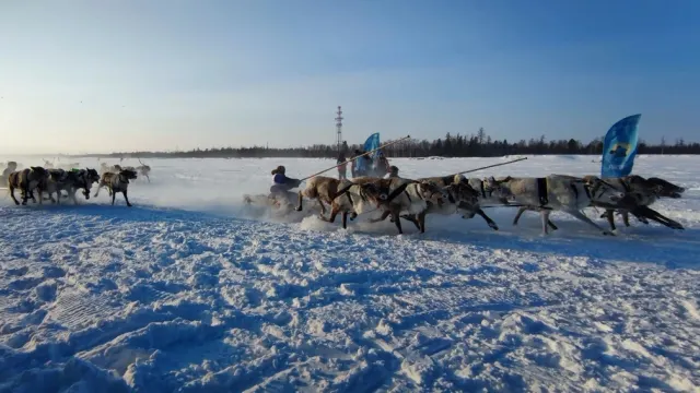 Таттама: А. Пяк таттамы