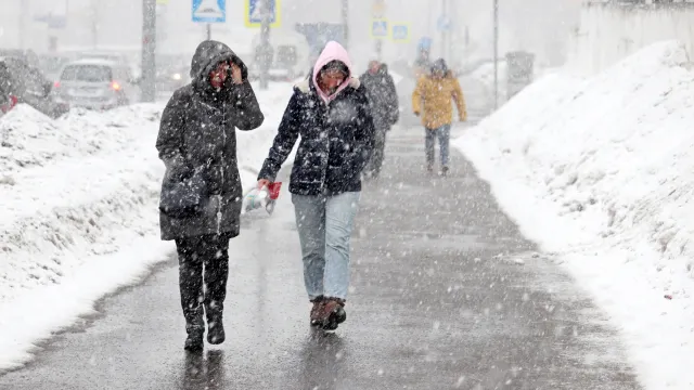 Фото: Oleg Elkov / Shutterstock / Fotodom