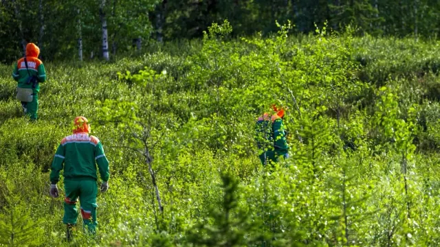 Фото: Фёдор Воронов / «Ямал-Медиа»