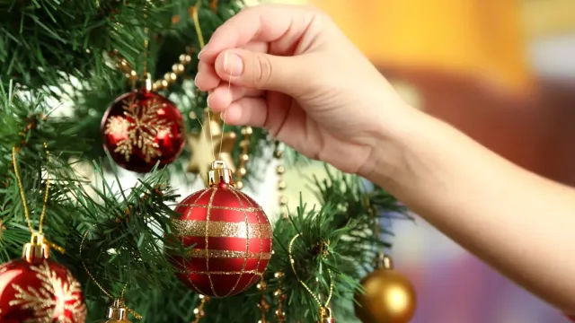 Фото: Africa Studio / Shutterstock / Fotodom