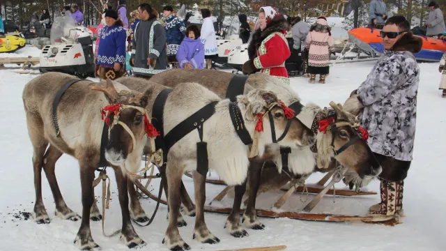 Касапсая ӆэщатыӆат. Хор: Владимир Енов