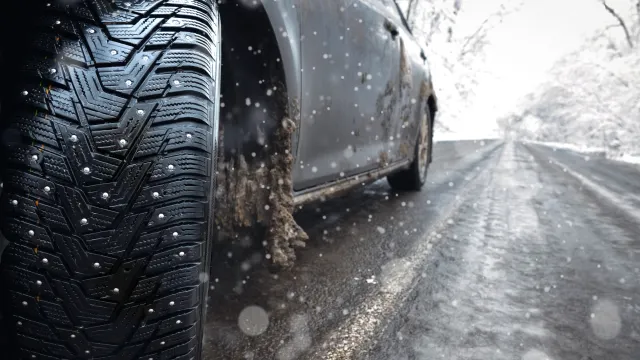 Фото: Drotyk Roman / Shutterstock / Fotodom