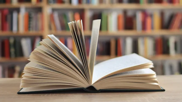 Фото: Jure Divich / Shutterstock / Fotodom