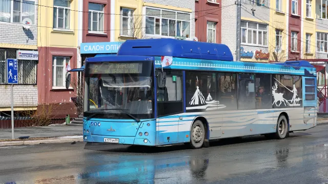 Фото: Андрей Ткачёв / «Ямал-Медиа»