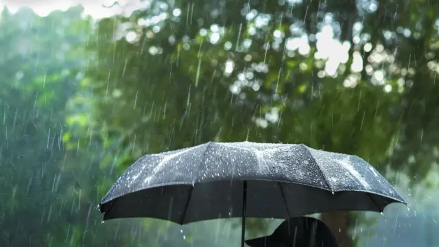 Фото: Niyom Napalai / shutterstock.com / Fotodom