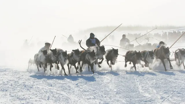 Сидяӈг: Марина Яр’ тадтавы