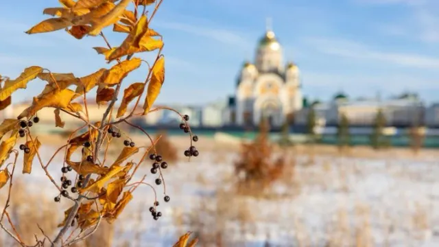 Фото: Фёдор Воронов / «Ямал-Медиа»