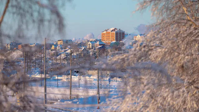 Фото: Фёдор Воронов / «Ямал-Медиа»