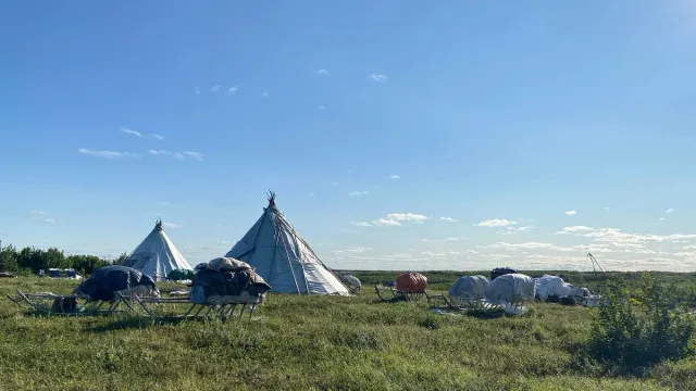 Каждый сезон в тундре – по своему хорош. Фото: Анастасия Ульянова / "Ямал-Медиа"