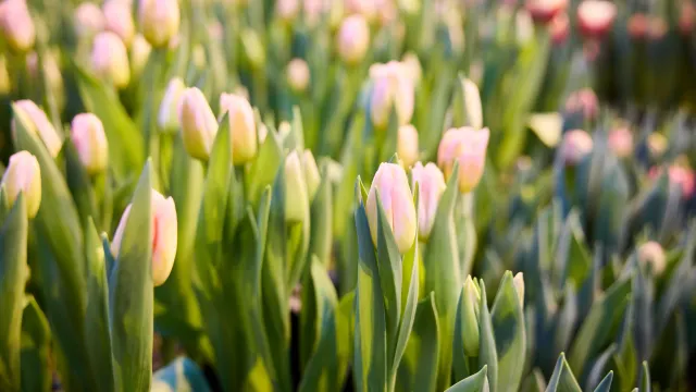 Фото: Юрий Здебский / «Ямал-Медиа»