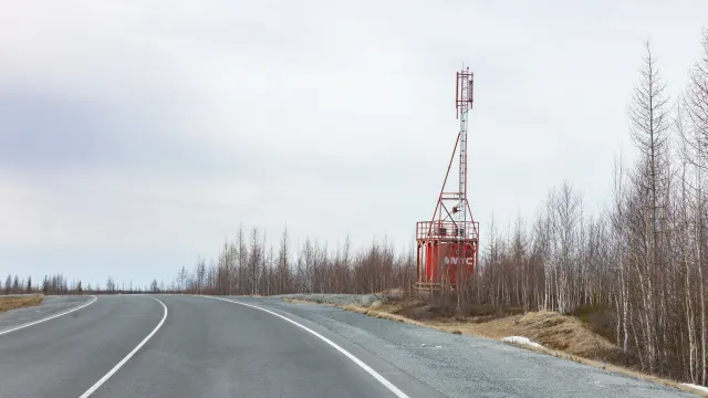 Фото: Дания Соболева / «Ямал-Медиа»