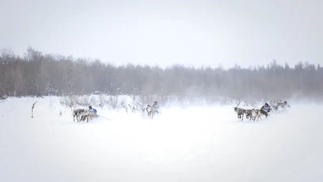 Фото: Юрий Матяш / «Ямал-Медиа»