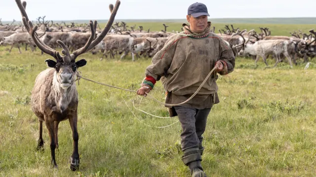 Фото: Андрей Ткачёв / "Ямал-Медиа"